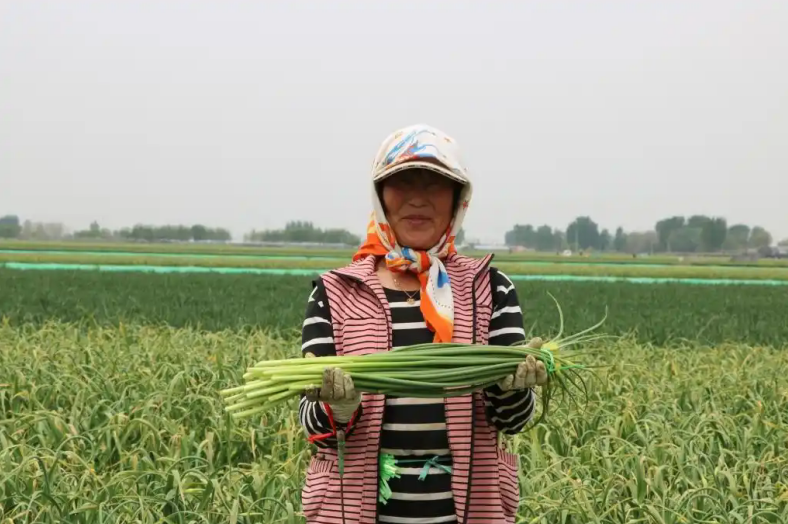 1746083159487198.png 23456.png