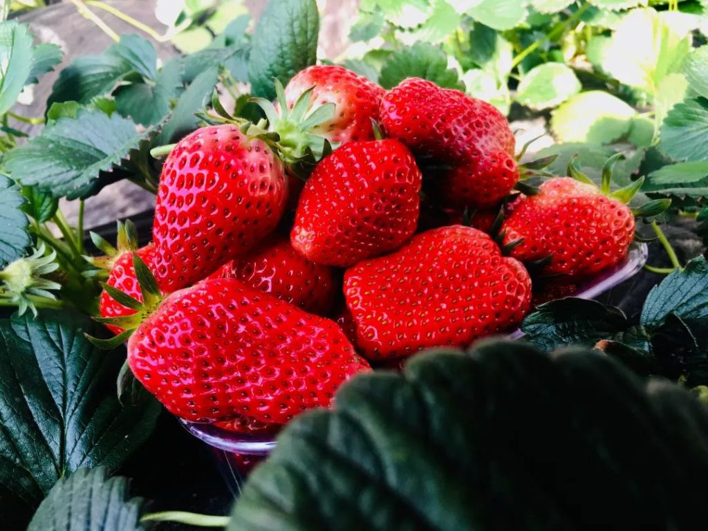 1746083318766000.jpeg 68120c1c2c76e906332add0b.jpeg