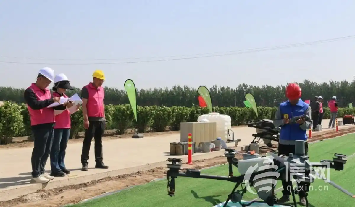 1746355746947010.png 503d269759ee3d6de9210dd3ac78a72d4e4ade46.webp.png